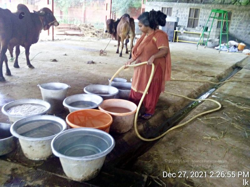 File:20211227 gaumandir 142655 11.jpg