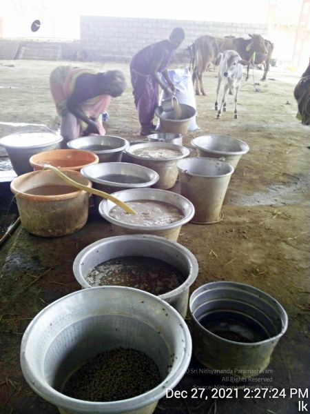 File:20211227 gaumandir 142724 11.jpg