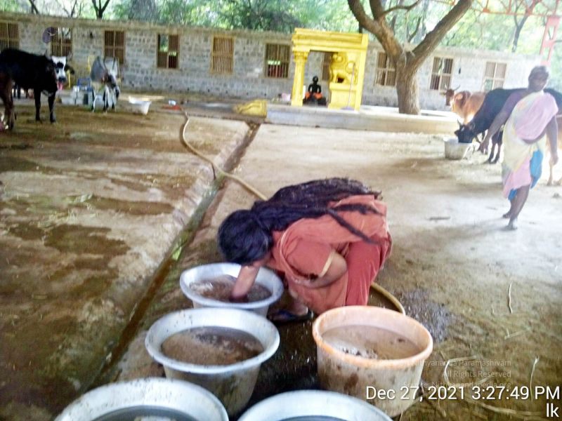 File:20211227 gaumandir 152749 11.jpg