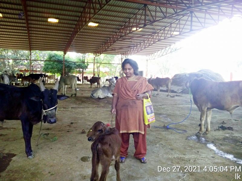 File:20211227 gaumandir 160504 11.jpg