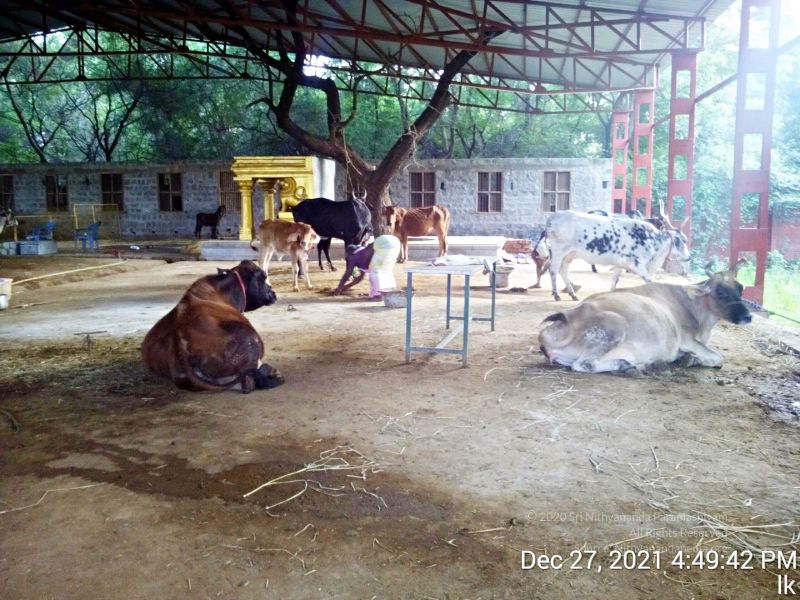 File:20211227 gaumandir 164943 11.jpg