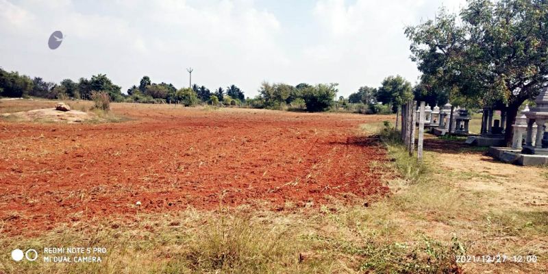 File:20211227 kacharapattu 12.05.34 PM (2) 11.jpg