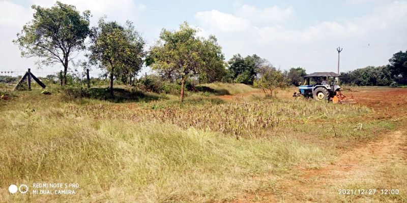 File:20211227 kacharapattu 12.05.34 PM 11.jpg