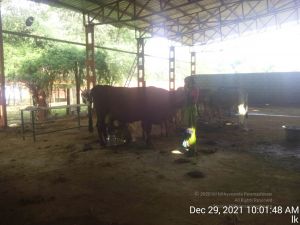 20211229 100149 11.jpg