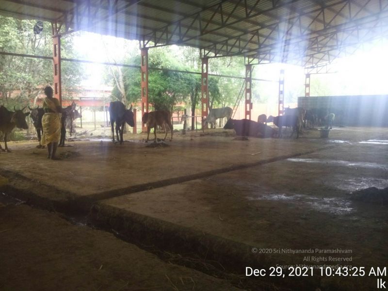 File:20211229 104325 11.jpg