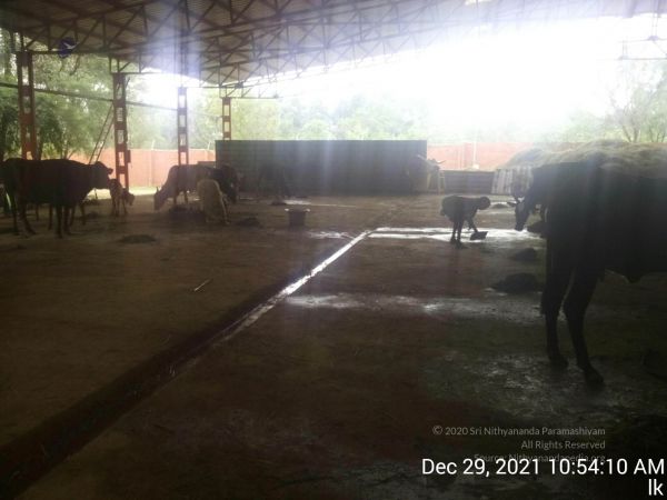 20211229 105410 11.jpg