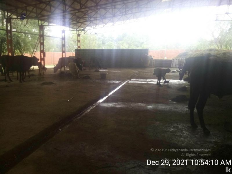 File:20211229 105410 11.jpg