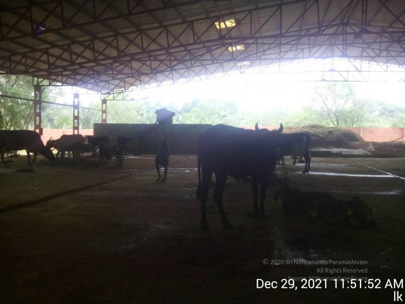 File:20211229 115152 11.jpg