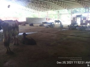 20211229 115221 11.jpg