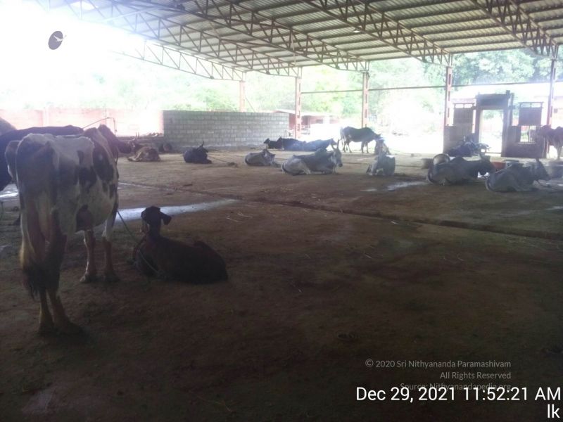 File:20211229 115221 11.jpg