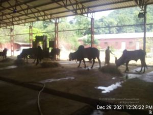 20211229 122622 11.jpg