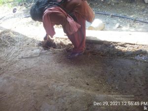 20211229 125645 11.jpg