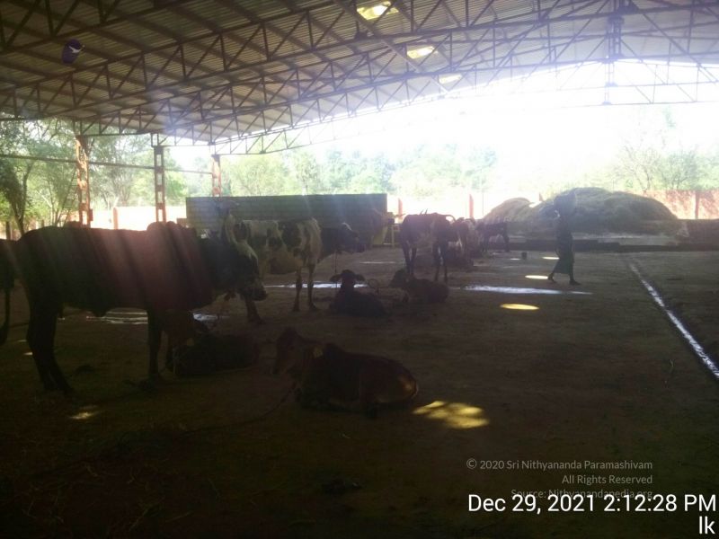 File:20211229 141228 11.jpg