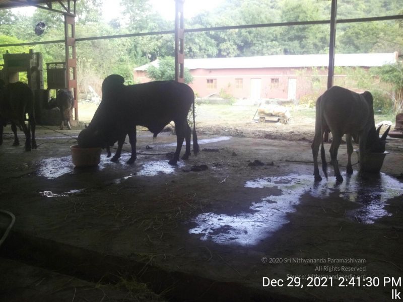 File:20211229 144130 11.jpg