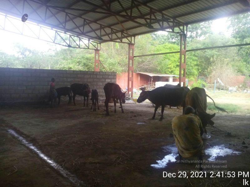 File:20211229 144153 11.jpg