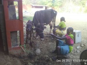 20211229 160207 11.jpg