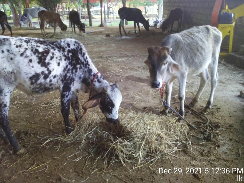 File:20211229 171236 11.jpg