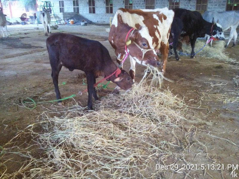 File:20211229 171321 11.jpg