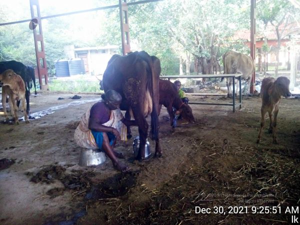 20211230 092551 11.jpg