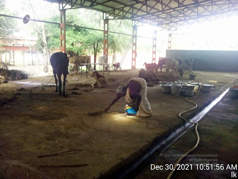 File:20211230 105156 11.jpg