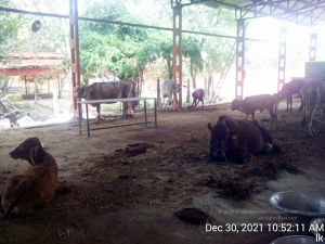 20211230 105211 11.jpg