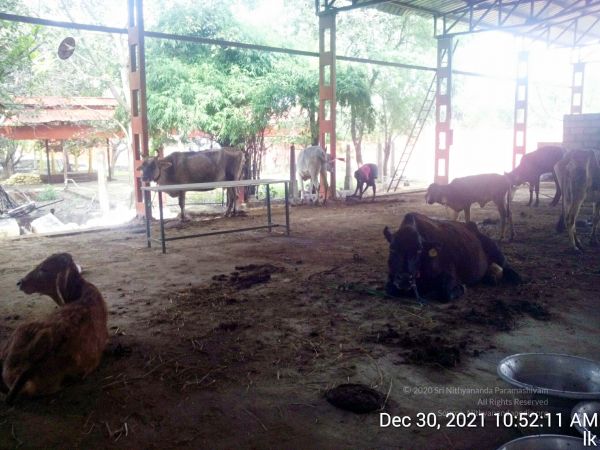 20211230 105211 11.jpg