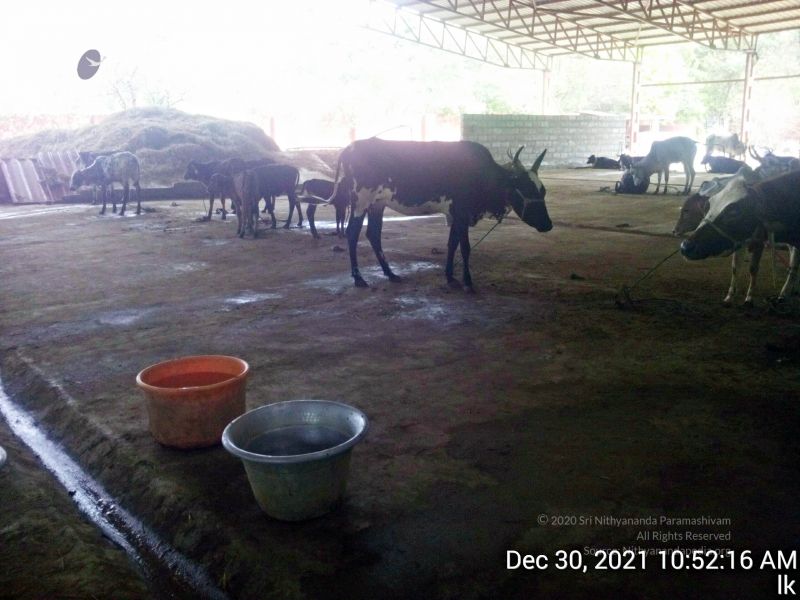 File:20211230 105216 11.jpg