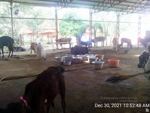 20211230 105248 11.jpg