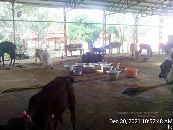 20211230 105248 11.jpg