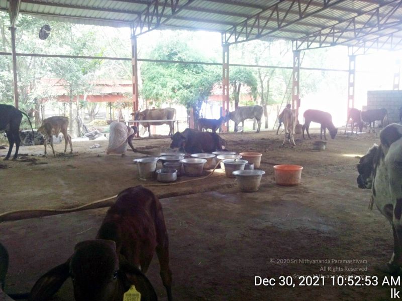 File:20211230 105253 11.jpg