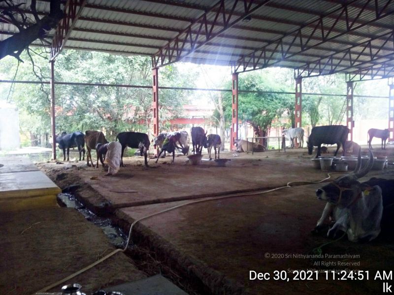 File:20211230 112451 11.jpg