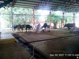 20211230 112513 11.jpg