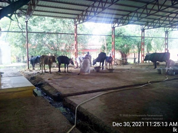 20211230 112513 11.jpg