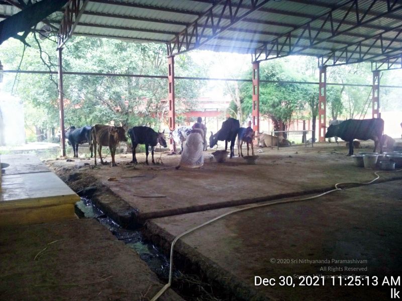 File:20211230 112513 11.jpg