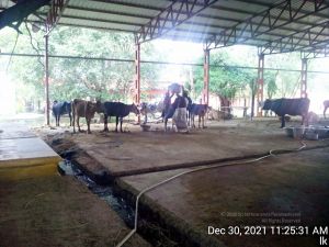 20211230 112531 11.jpg