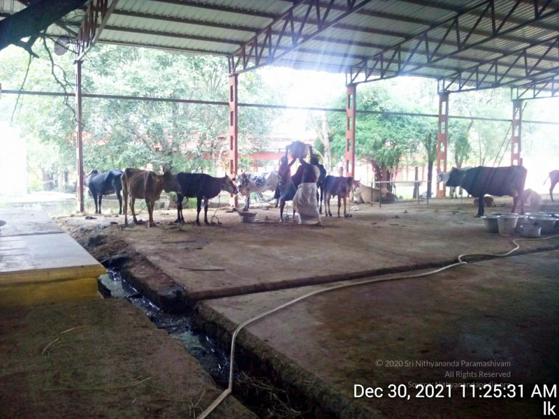 File:20211230 112531 11.jpg