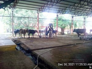 20211230 112533 11.jpg