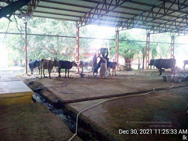 20211230 112533 11.jpg