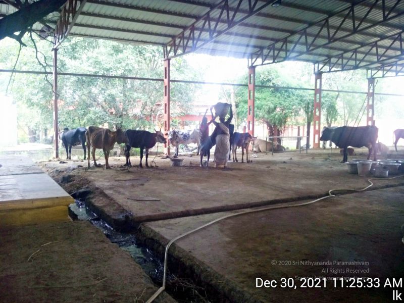 File:20211230 112533 11.jpg