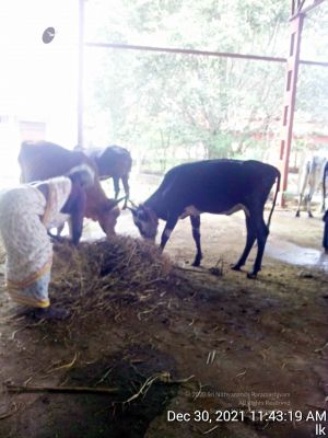 20211230 114319 11.jpg