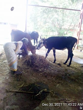 20211230 114322 11.jpg