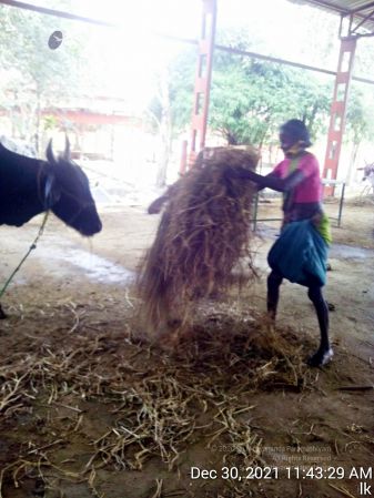 20211230 114330 11.jpg