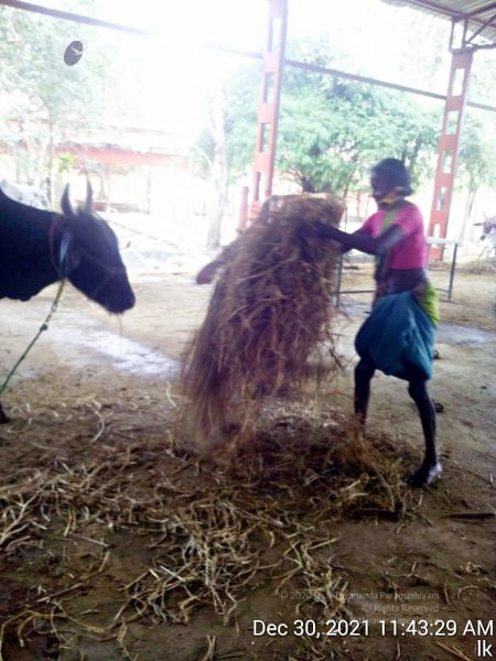 File:20211230 114330 11.jpg