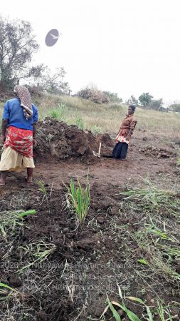 20211231 1.55.53 PM (1) 11.jpg