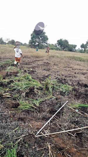 20211231 1.55.53 PM 11.jpg