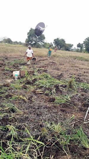 20211231 1.55.54 PM 11.jpg