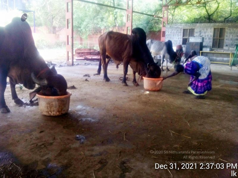 File:20211231 143703 11.jpg