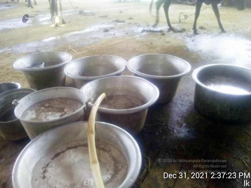 File:20211231 143723 11.jpg