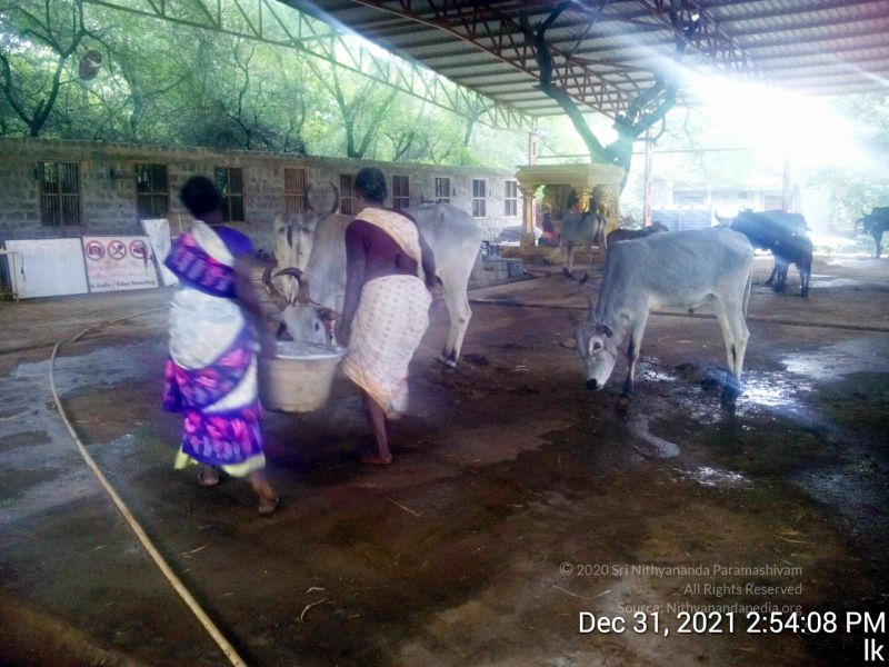 File:20211231 145408 11.jpg