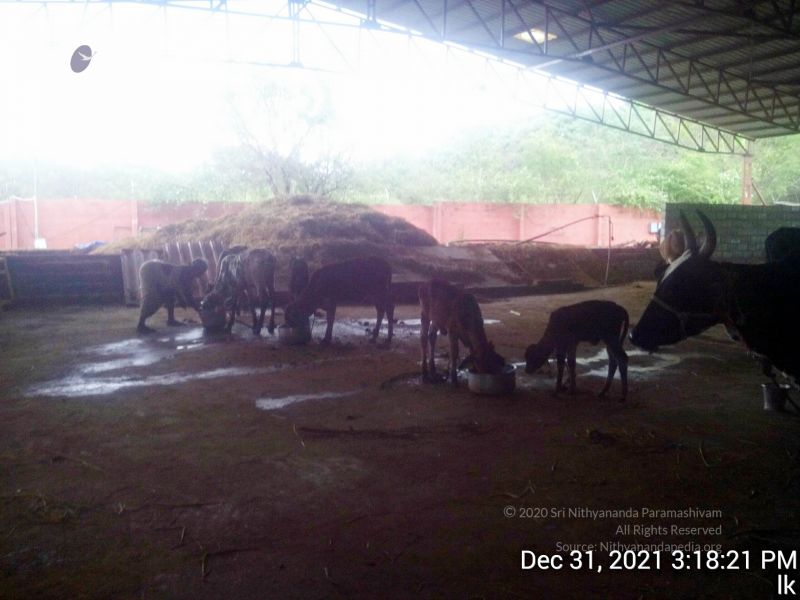 File:20211231 151821 11.jpg